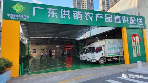 奮戰(zhàn)百千萬工程 廣東供銷農(nóng)產(chǎn)品直供配送臺山服務中心揭牌成立