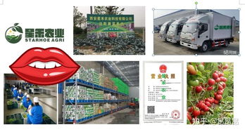 西安食材配送服務中心 專業(yè)一站式配送服務，助力餐飲與家庭食材供應